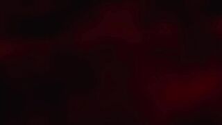Flash Point (2007) Hindi Dubbed Full Movie Watch Online HD