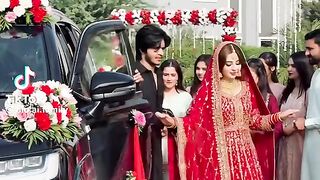 Beautiful Wedding Video 6