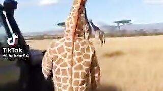 Africa 34