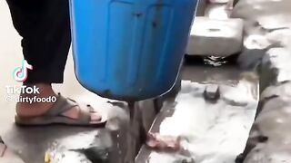 Comida caseira 2