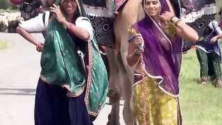 Mamta