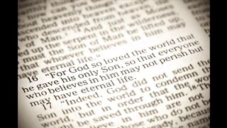 Creator is with You__ Fear Not.