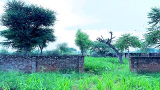 View of nature and view of life #nature #vlog