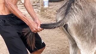 Vídeos engraçados 7