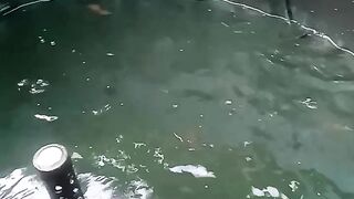Pool Condition 2 months without being drained