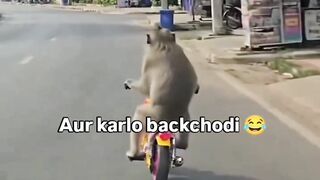 This Monkey’s Reaction Is TOO FUNNY! 😂🐒 You Won’t Believe What Happens Next! #Shorts