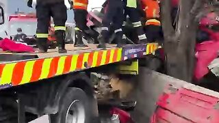 Carreta  bate em árvore  na 381