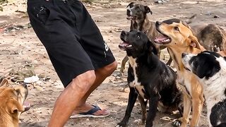 Vídeos engraçados 8