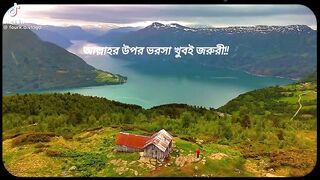সফলতা জন্য আল্লাহর উপর ভরসা রাখুন