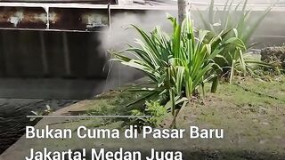 Medan Geger! Asap Misterius Mendadak Sembur Keluar dari Bawah Tanah Depan Kantor Wali Kota!