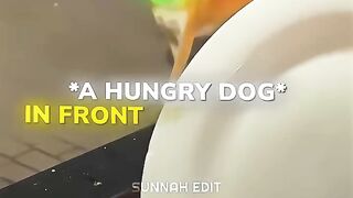 Everyone deserves food so be kindness for all animals