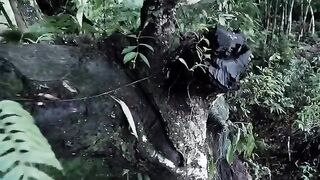 New best action movie full watch now 2