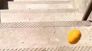 You Won’t Believe This Bottle Break! 😱 | ASMR Satisfying Sounds