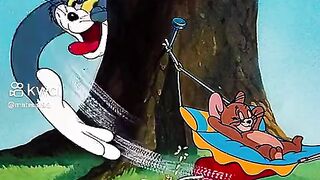 Ton e jerry