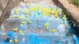 Millions Would Watch This! 🔥 Bottle Breaking ASMR Compilation