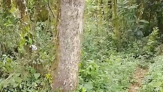 Verde natureza