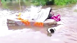 Cena Comovente em Enchente — Resistência e Solidariedade 🐶