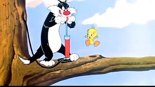 This Tom & Jerry Chase Gets Completely OUT OF CONTROL! 😂
