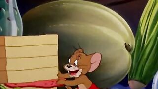 Tom Finally Corners Jerry… But Jerry Has ONE More Trick! 😂