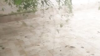 Video de natureza