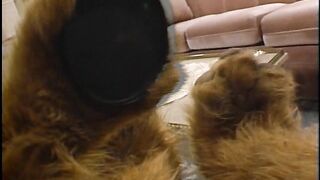 Alf, O ETeimoso - S01E02