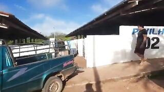 Feira de cabrito 4