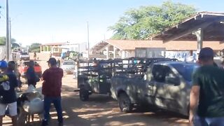 Feira de cabrito em sumé 2