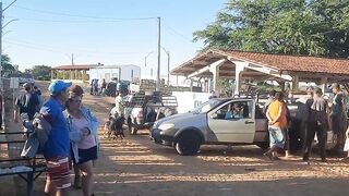 Feira livres de cabrito