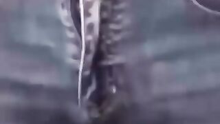 Vairal new video Vairal video funny video trending reel United Kingdom