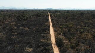 DRONE DEFORESTATION HUAMBO ANGOLA 2