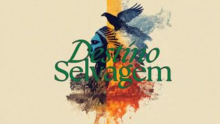 Destino Selvagem” — Quando o Rock encontra o Rap e explode em liberdade!