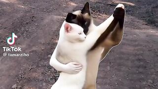 Como dança  forró kkkkk