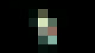 32 bits 64 bits 128 bits 256 bits 512 bits 1024 bits 2048 bits (Plankton)