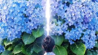 打碎花朵，然后去另一个房间。