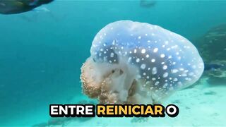 IMORTAL vs. INDESTRUTIVEL: A VERDADE SOBRE A MEDUSA IMORTAL