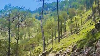 90s songs touch your heart #Feel the song #Beautiful nature view