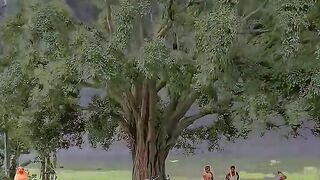 Best nature views#Baton _ko _teri_hum _bhula_na_sake_lyrics_sad_song