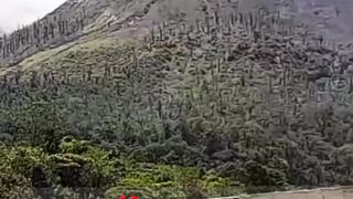 VIRAL ‼️ Mount Semeru Erupts, Ash Reaches 1,000 Meters in Height! Alert Status Issued, Residents in Panic ‼️