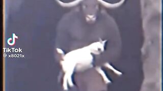 Terror 16
