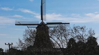 A little piece of Holland in Brazil