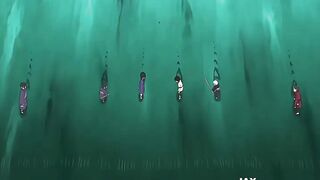 Animes 41