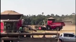 Agro  não para