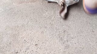 My dog 5