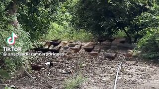 olha como e bom viver e respirar o ar 2