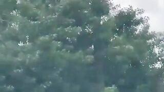 Acidente avião da Amazon