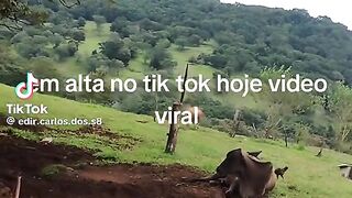 como e lindo a natureza