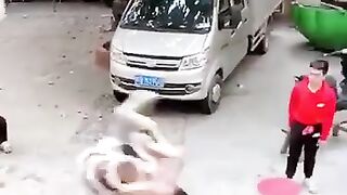 اكروبات صيني