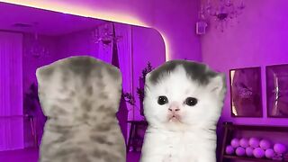 🐱😂 GATO DANÇANDO COM IA! Você nunca viu isso antes | Inteligência Artificial