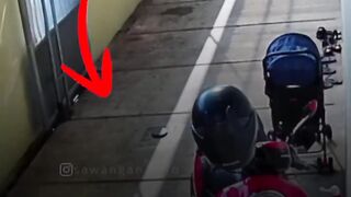 motorcycle theft 2