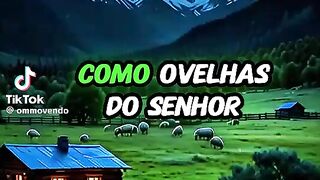 #que todos tenham uma boa noite e durmam na paz de Deus Jesus e Maria amém 🙏